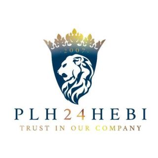Pracodawca Plh24hebi GmbH