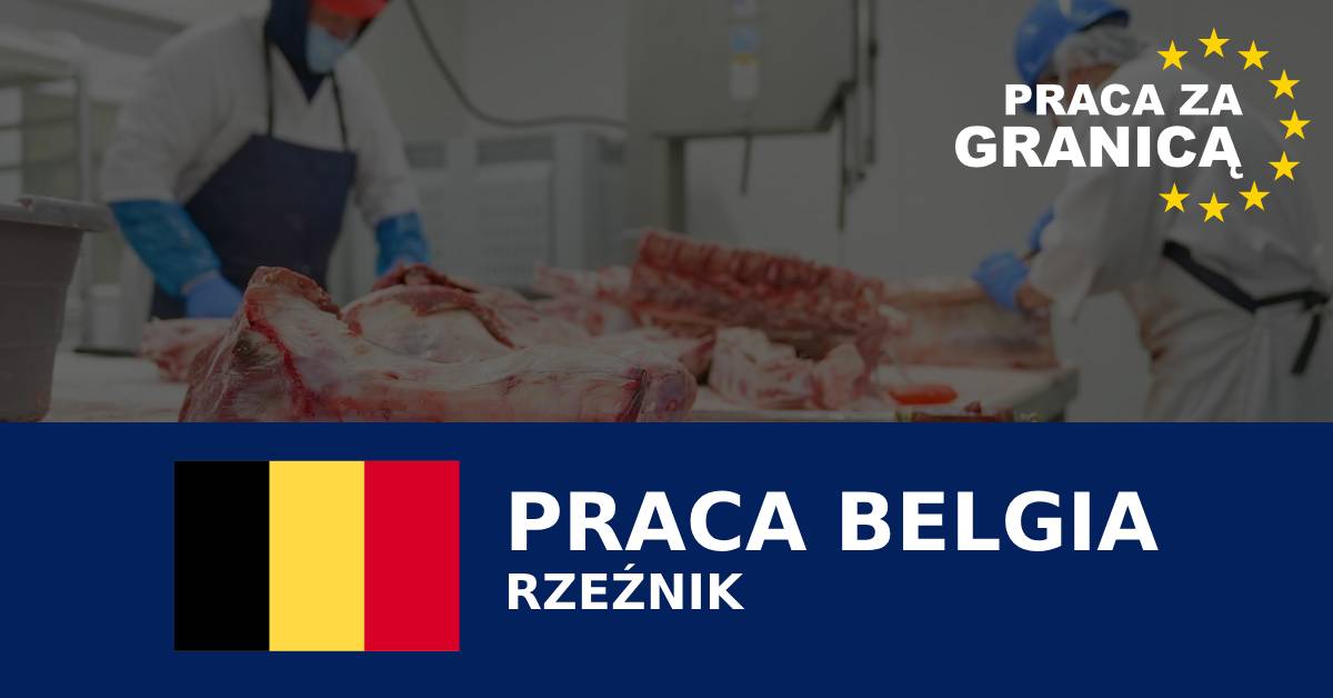 Rzeźnik Belgia praca PzG