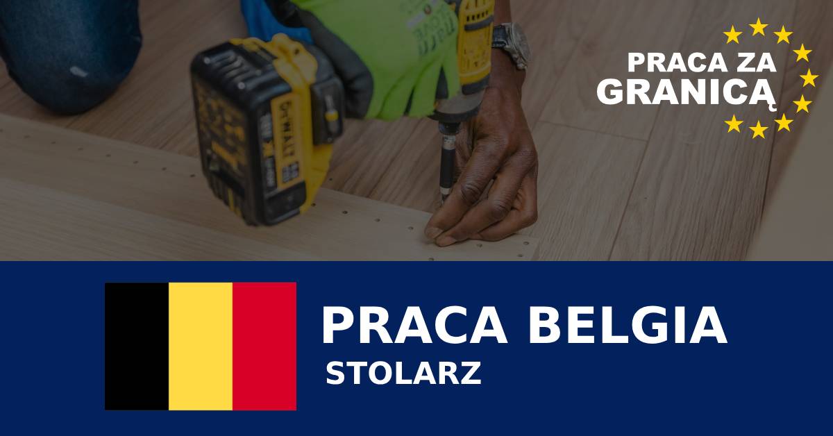 Stolarz Belgia praca PzG