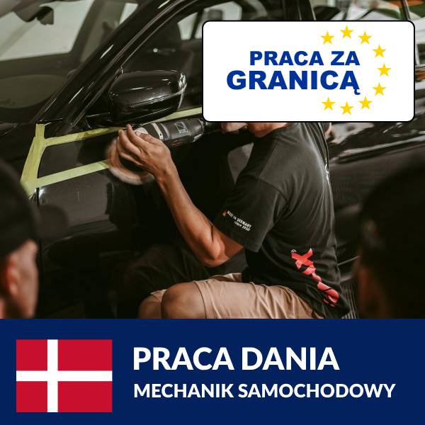mechanik samochodowy dania PzG