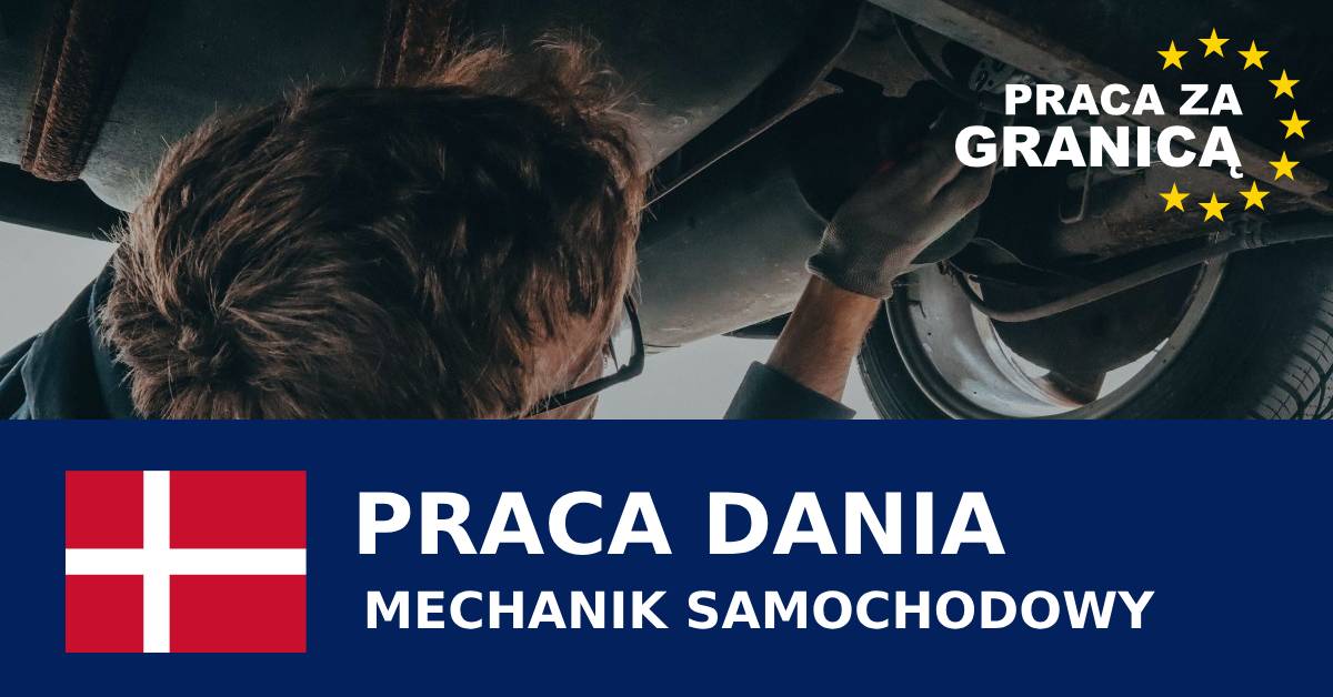 Praca mechanik samochodowy dania PzG