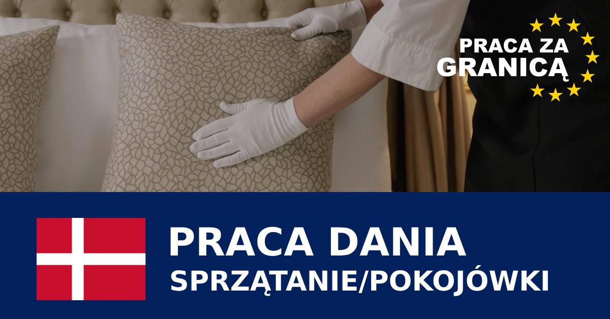 Praca sprzatanie Dania PzG