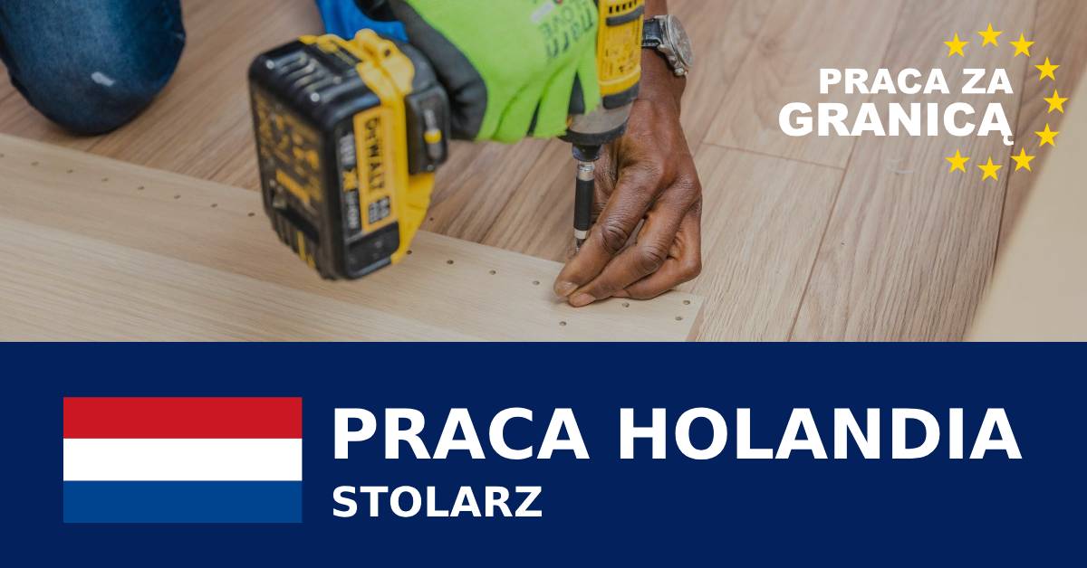 Stolarz Holandia praca PzG