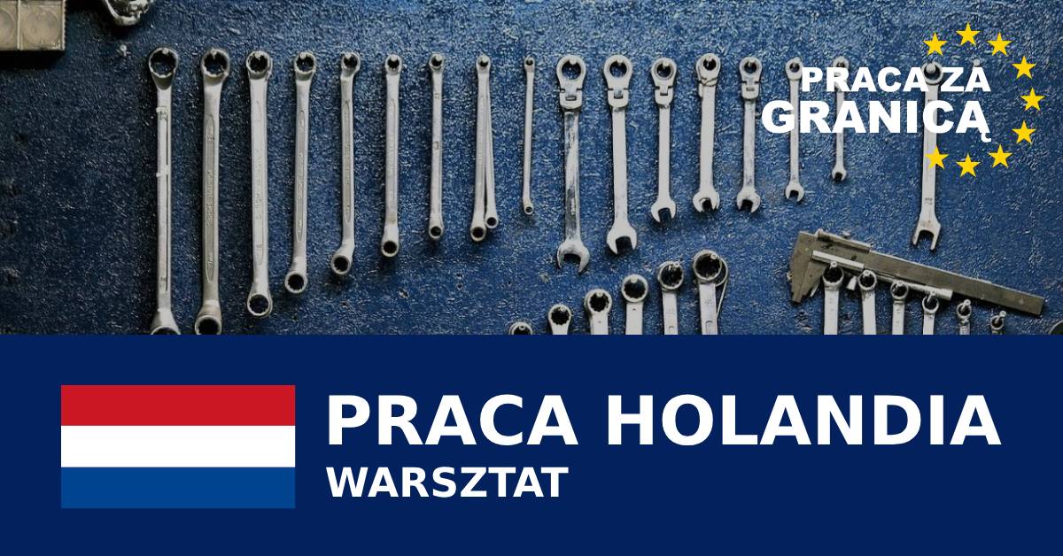 Warsztat Holandia praca PzG