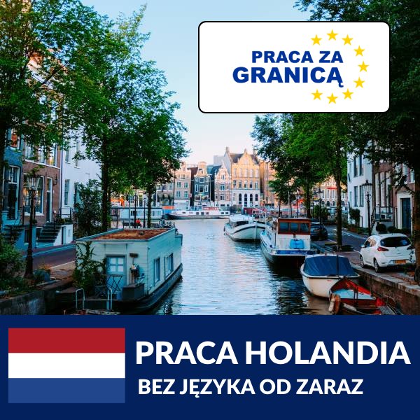 Praca Holandia bez języka od zaraz