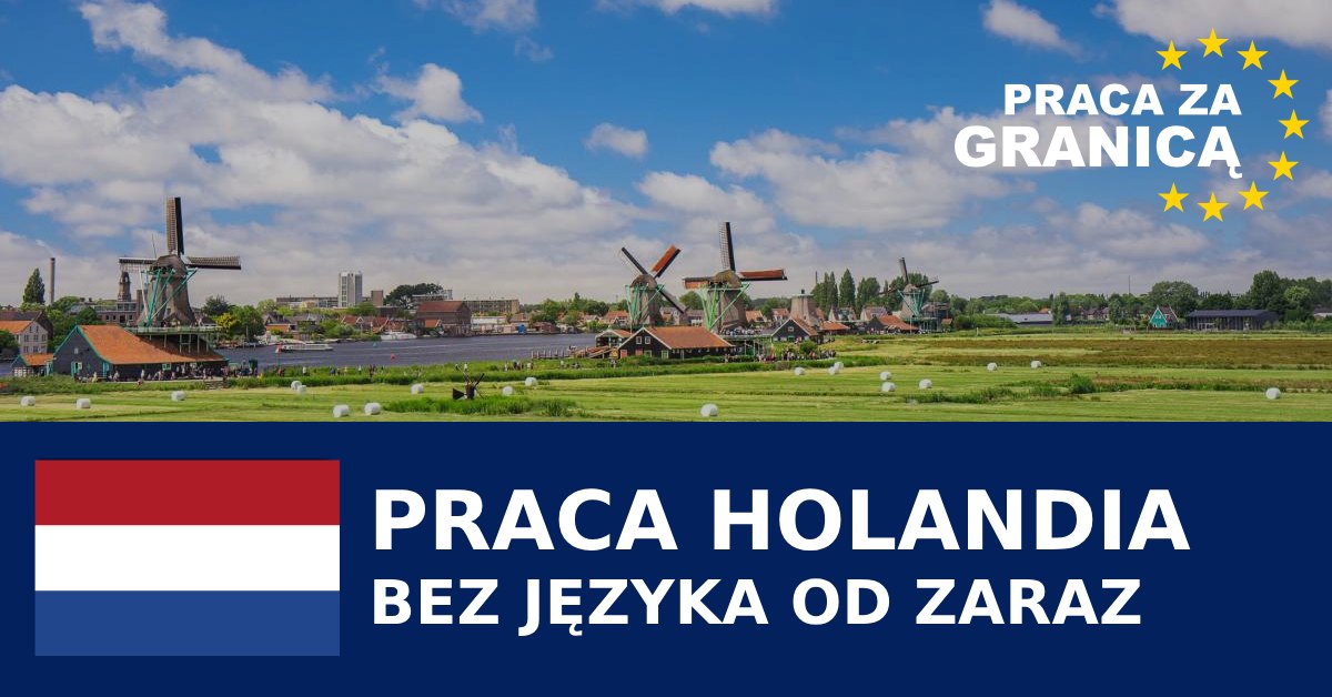 Praca w Holandii bez języka od zaraz