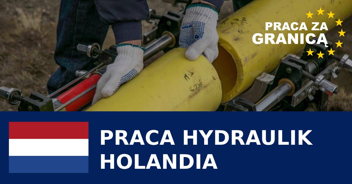 Praca hydraulik Holandia, Oferty pracy PzG