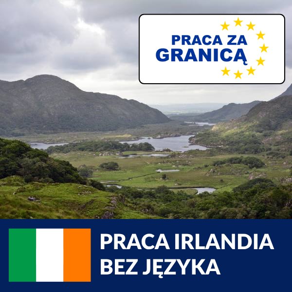 Praca Irlandia bez języka