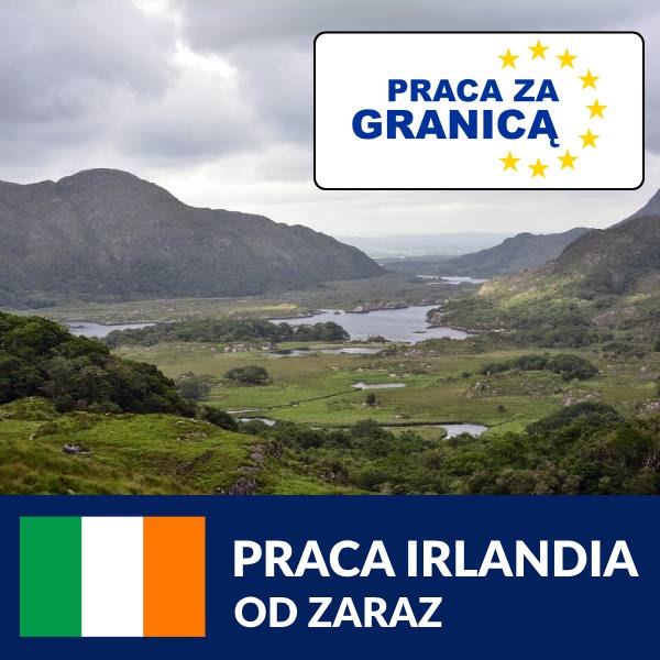 Praca Irlandia od zaraz