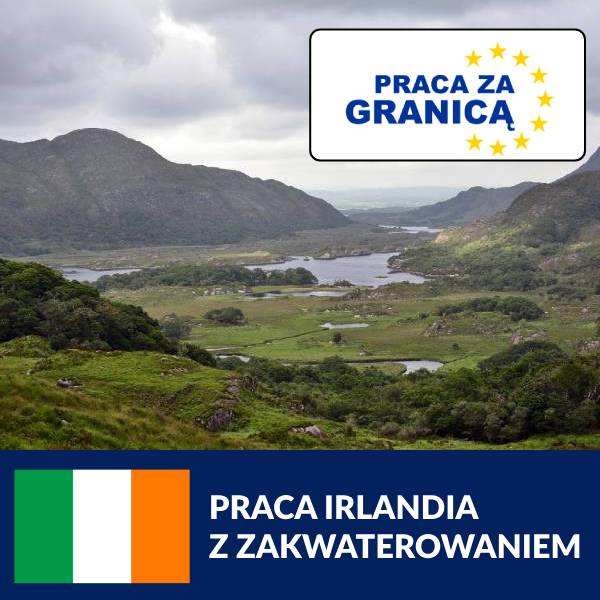 Praca Irlandia z zakwaterowaniem