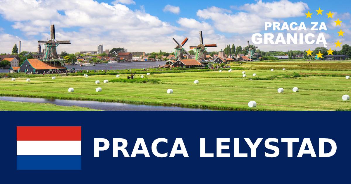 Praca Lelystad, Oferty pracy PzG