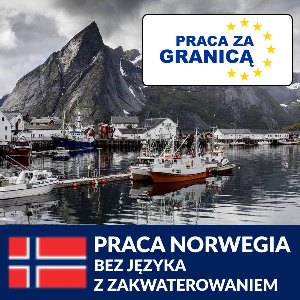 Praca Norwegia bez języka z zakwaterowaniem