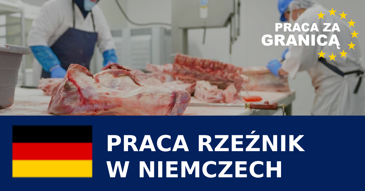 Praca rzeźnik wykrawacz Niemcy