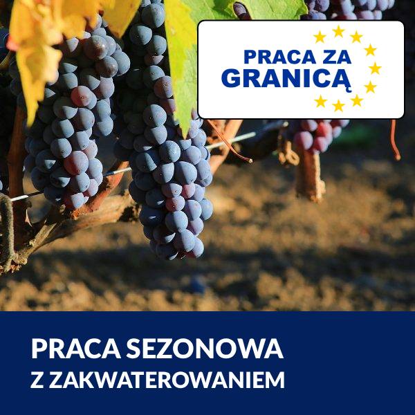 Praca sezonowa z zakwaterowaniem PzG