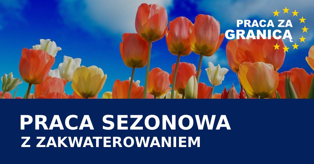 Praca sezonowa z zakwaterowaniem praca PzG