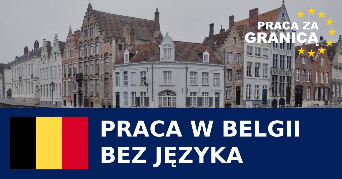 Praca w Belgii bez języka