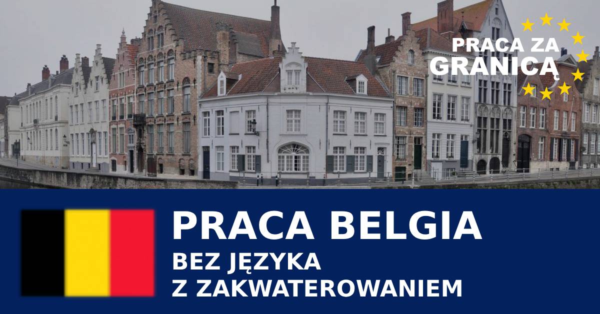 Praca w Belgii