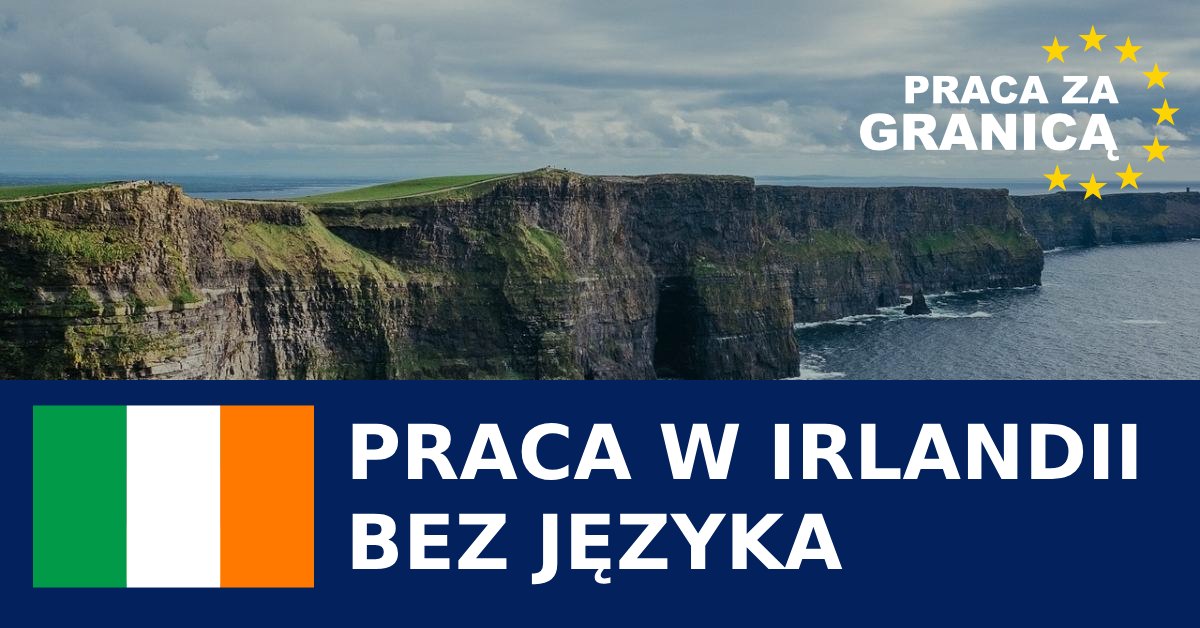 Praca w Irlandii bez języka