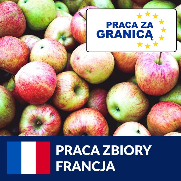 Praca zbiory Francja